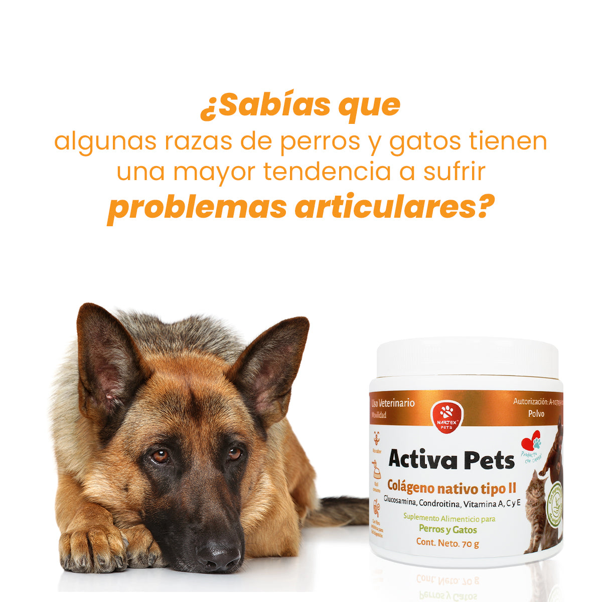 Activa Pets Tarro 70 grs
