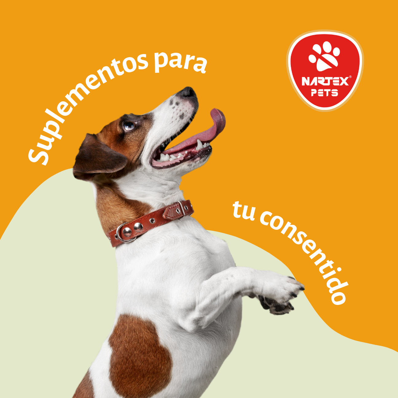 Activa Pets Tarro 70 grs