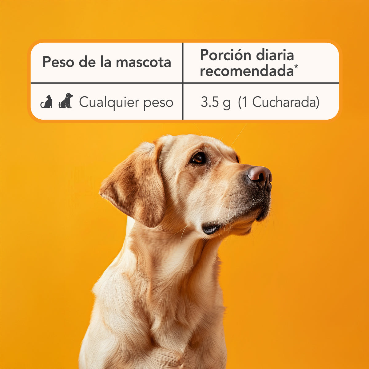 Activa Pets Tarro 70 grs