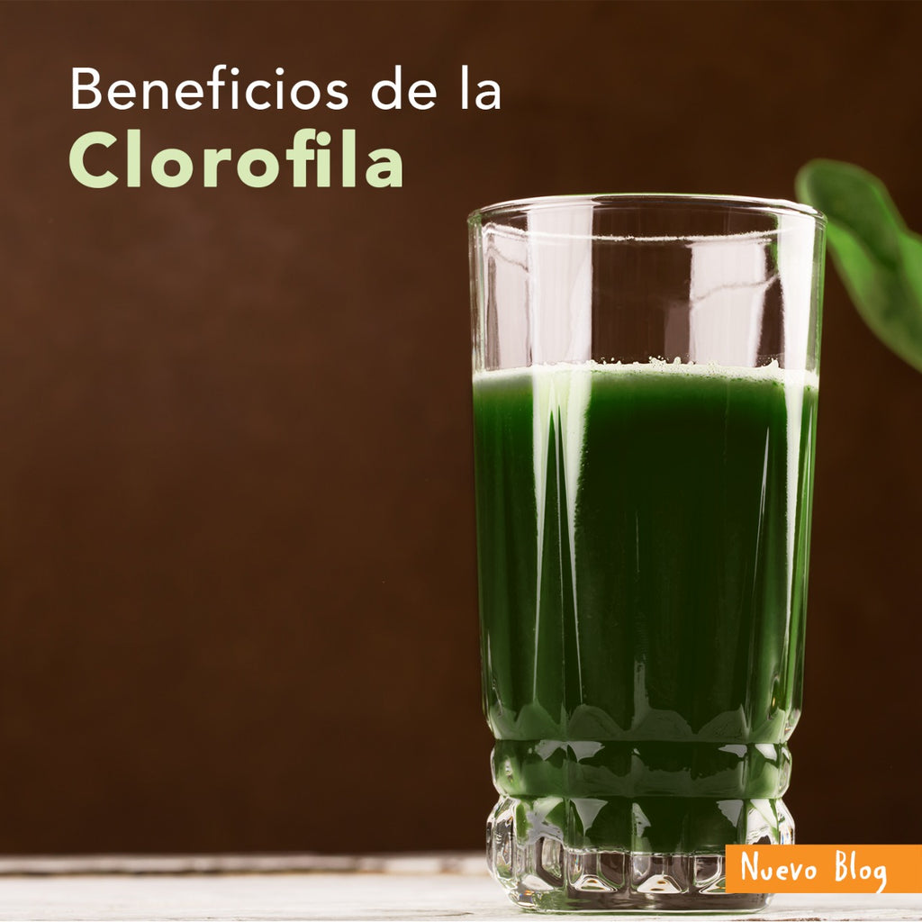 Beneficios de la clorofila