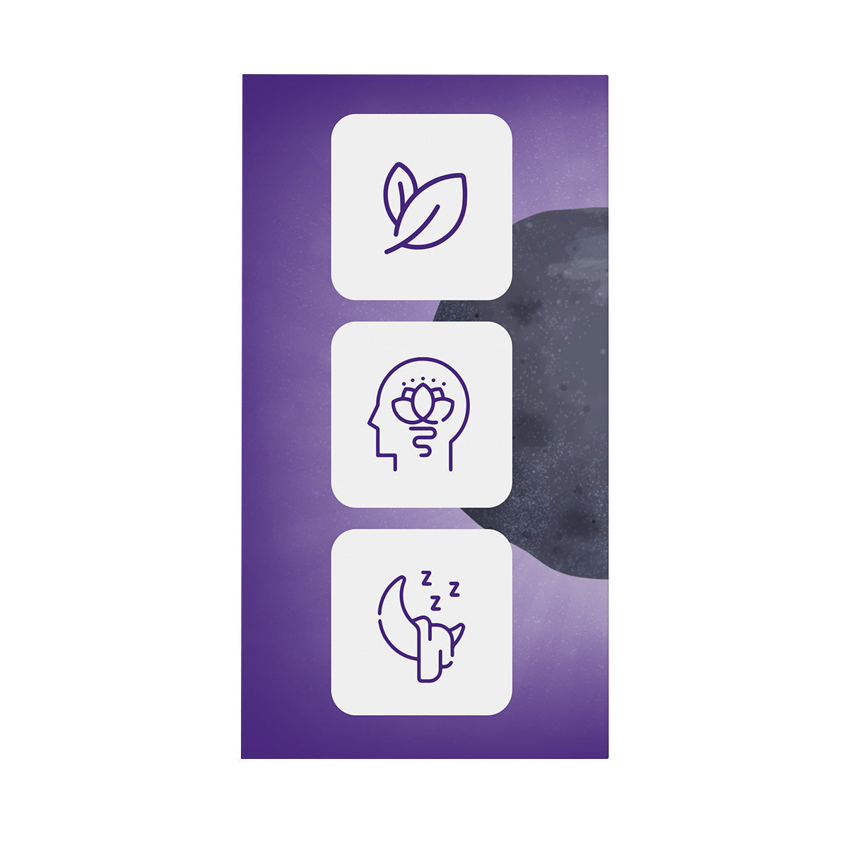 Simplex AM/PM Pack - FarmaHabit